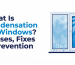 What-Is-Condensation-on-Windows-Causes-Fixes-Prevention